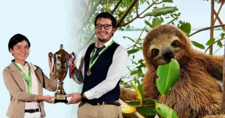 University Students Propose Solutions for the Conservation of Sloths