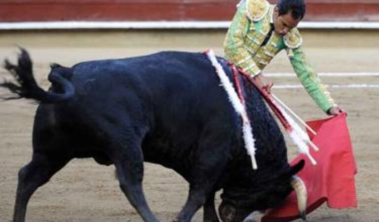 Judge Indefinitely Suspends Bullfights in the Largest Plaza in Mexico
