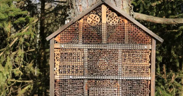 “Hotels for Bees” in Costa Rica Have All Their “Rooms” Occupied At 100%