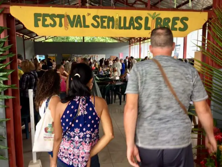 The Seed Festival Was a Complete Success in Costa Rica