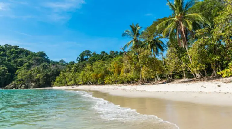 Costa Rica Is the Purest Eden in the Caribbean!