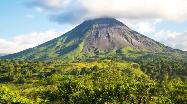 The Smoky Giants of Costa Rica