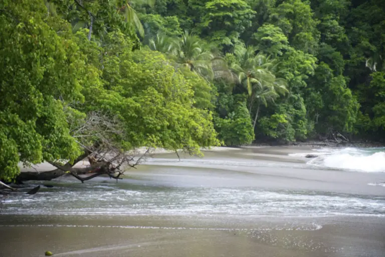 Dream Beaches to Get Lost in Costa Rica