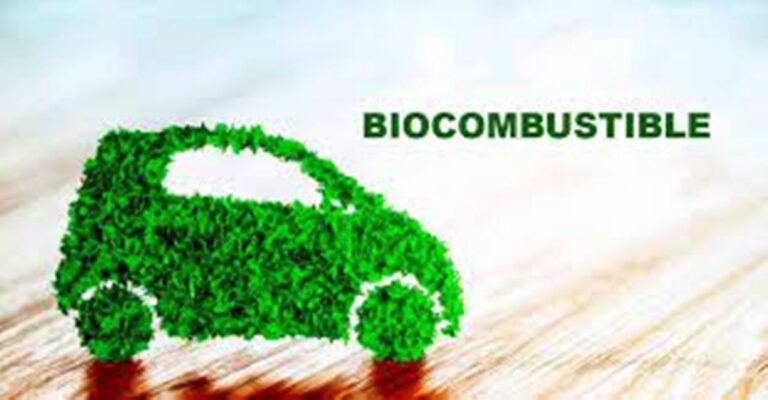 Costa Rica Promotes Biofuels in the National Development Plan