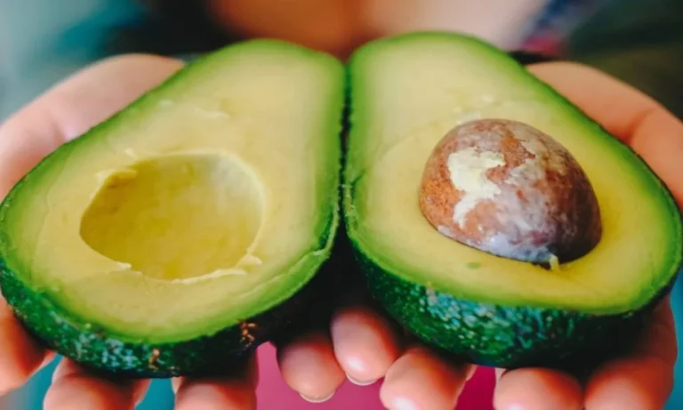 Avocado: The Positive Side Effects It Has On Muscles