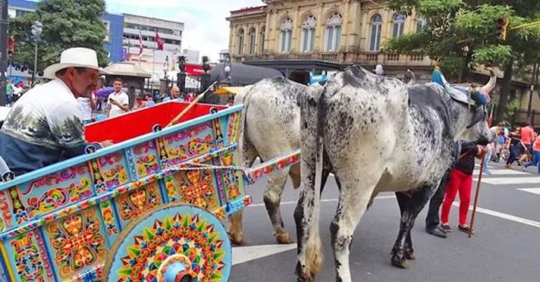 The Traditional “Boyeros” Parade Returned to San José