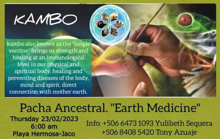 Pacha  Ancestral “Earth Medicine”