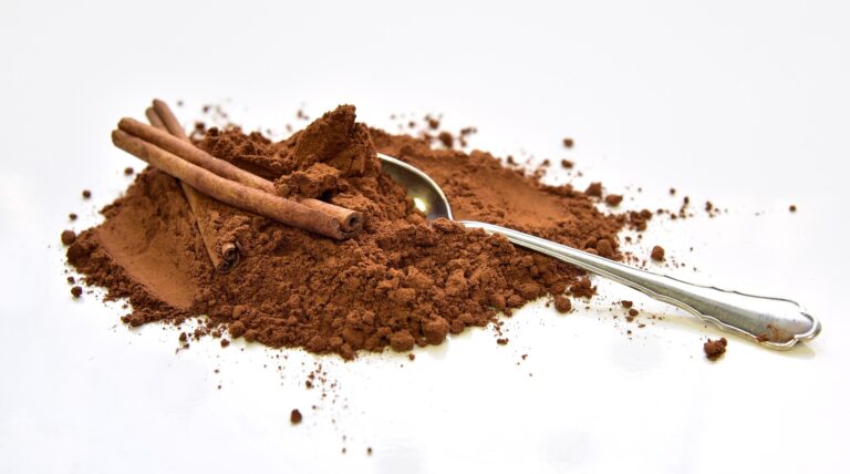 Does Cinnamon Improve Learning and Memory?