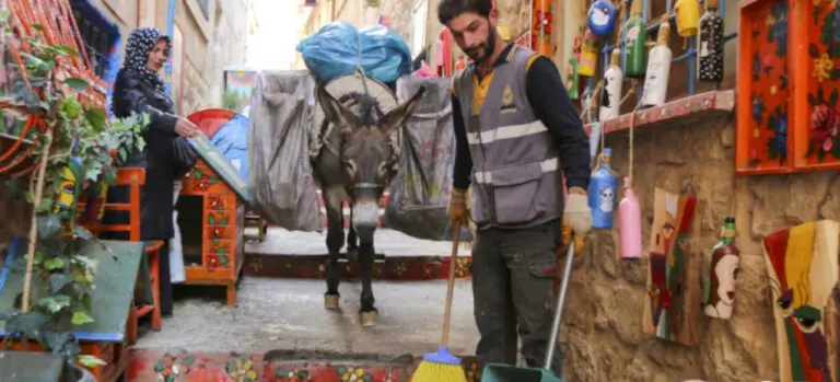 How Donkeys Changed the Course of the Human History