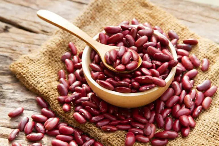 Bean Producers Have a New Red Bean Variety