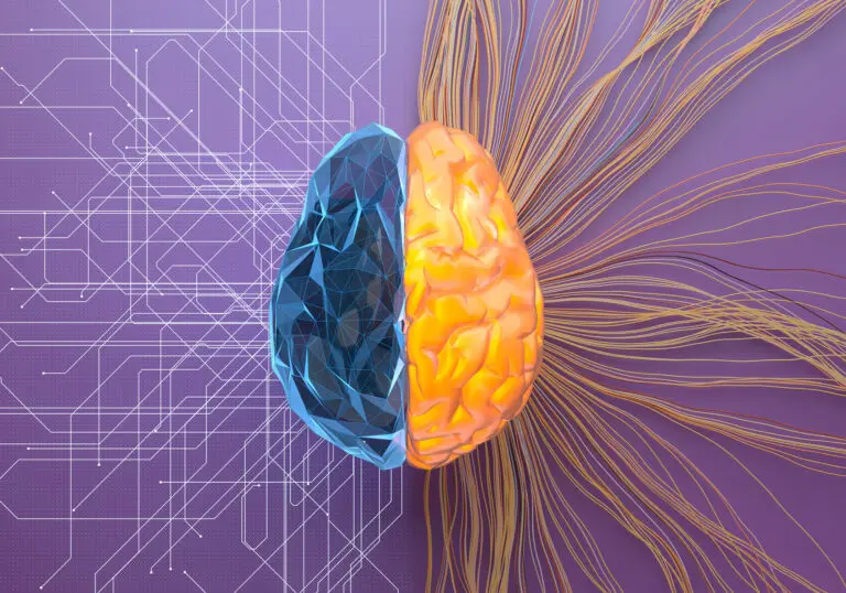 Awakened Brain