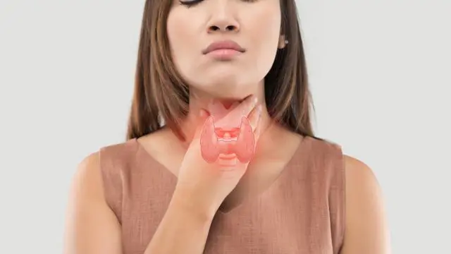 Hypothyroidism: A Disease that Affects Women’s Health as well as Their Personal and Professional Life