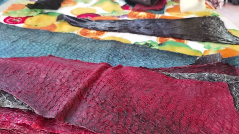 Costa Rican Women Produce Fashion Items with Fish Leather