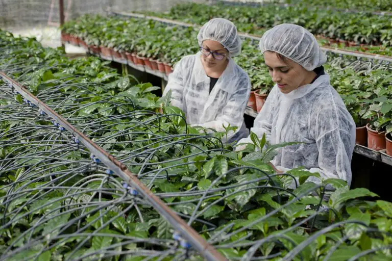 Open Innovation Contest Seeks Technology SMEs with a Sustainable Focus