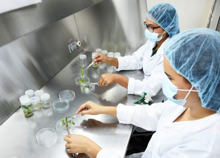 PROCOMER Promotes Investment and Exports of the Costa Rican Biotechnology Sector