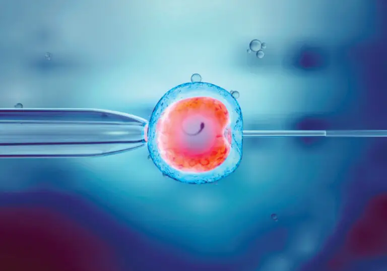 Synthetic Human Embryos Are Created without Using Eggs or Sperm