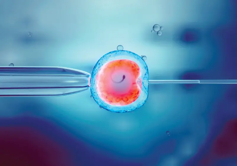 Synthetic Human Embryos Are Created Without Using Eggs Or Sperm