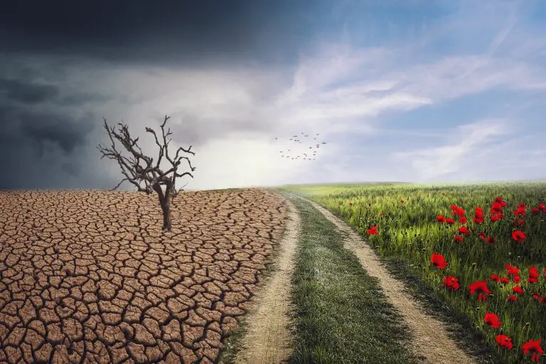 What Do Climate Records That Are Being Broken On The Planet Mean?