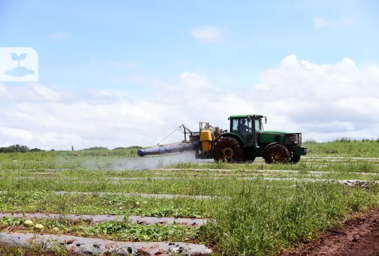 Costa Rica Promotes Research in Biopesticides for a More Ecological and Healthy Agriculture
