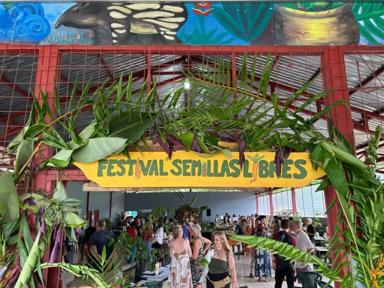 The Seed Festival Celebrates 7 Years of Exchanges, Knowledge, and Enjoyment for All