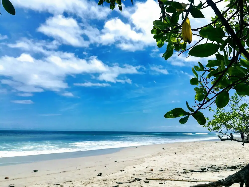 Two Oceans, Two Worlds: The Stark Contrast Between Costa Rica’s Pacific and Caribbean Beaches