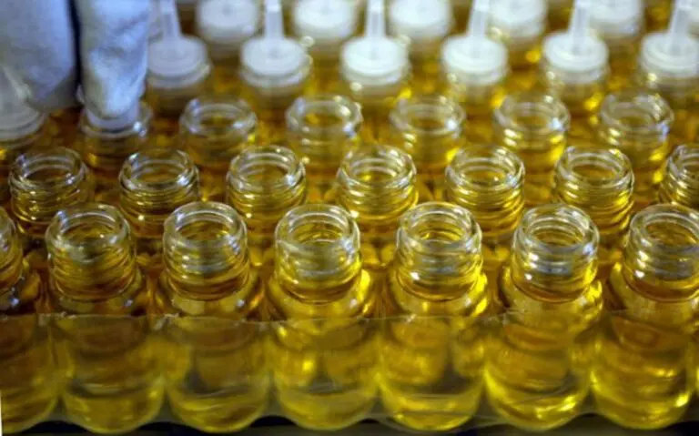 Plant Essential Oils: The Secret Weapon Against Resistant Bacteria?