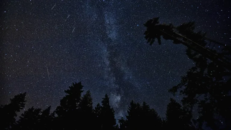 What Are the Meteor Showers in July and August Called?