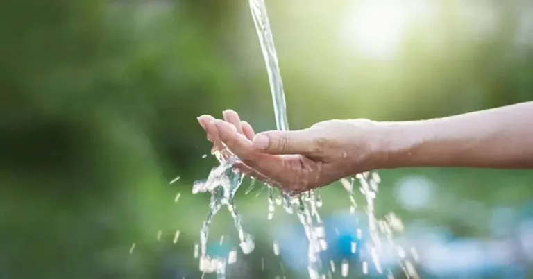 More Than 50 Thousand People Sign Petition to Ban Chlorothalonilin Costa Rica