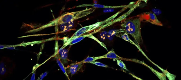 Scientists Manage to Convert Cancerous Tumors Into Healthy Cells With Genetic Technology