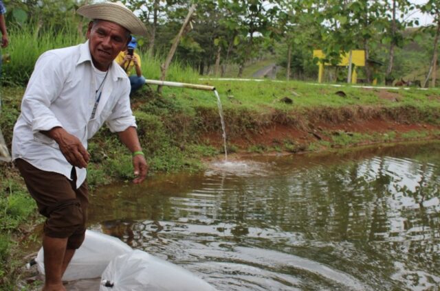 Costa Rican Research Shows that Food with Microalgae Improves ...