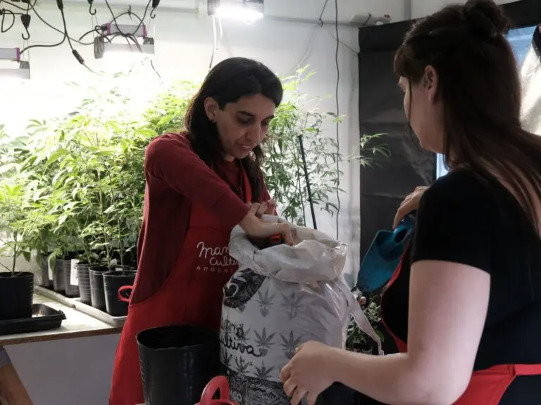 “Mama Cultiva”, The Struggle of Argentinian Women Who Planted Cannabis For Their Sick Children