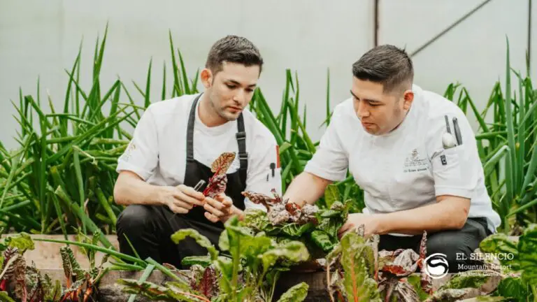 Eco Garden: The Commitment that Costa Rican Hotels Make to Offer Sustainable Gastronomy