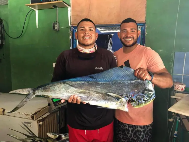 Artisanal Fishing