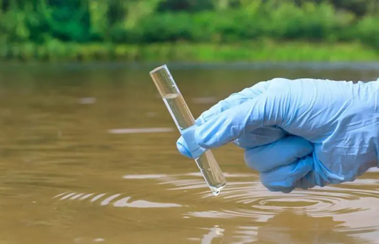 Will Chlorothalonil Water Contamination In Costa Rica Come To An End?