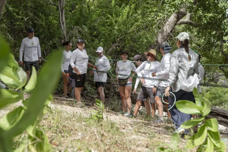 Innovative Wildlife Crossings Connect Wildlife in Punta Cacique, Guanacaste