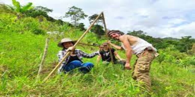Sustainable Agriculture Will Have a Fair in Turrialba for Two Weekends