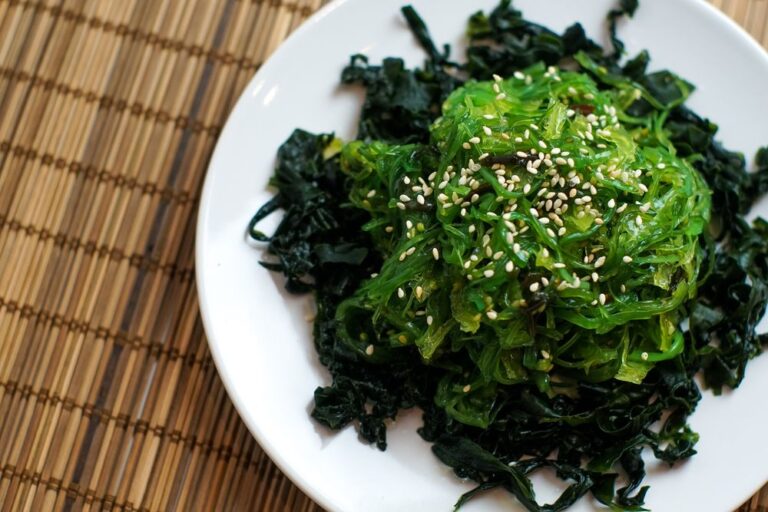 What Properties do Algae Have?