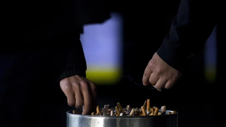 World Conference Debates Brazil’s Proposal on Tobacco Waste