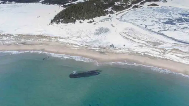 Remains of an Unknown Shipwreck Appear on the Canadian Coast￼