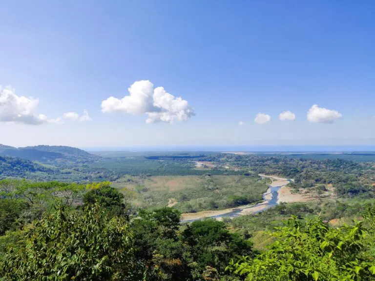 Online Real Estate Auction: “Alma de la Selva” – A Majestic Costa Rican Property
