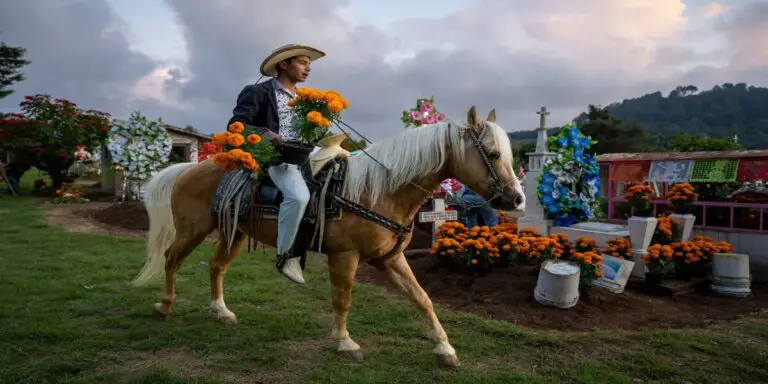 Festival Will Merge Equestrian Sports with Music and Gastronomy in Costa Rica