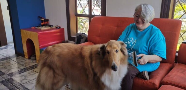 Pet Therapy Association in Costa Rica Has Space for People Who Want to Try the Benefits of Therapies With Pets