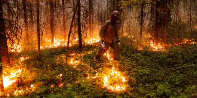 Canada at Risk of Another Devastating Wildfire Season