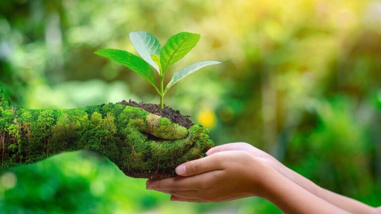 Hearth Summit Arrives in Costa Rica to Reconnect with Ecological Belonging