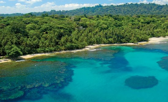 What Are the Main Differences between Costa Rica`s Pacific and Caribbean Beaches?