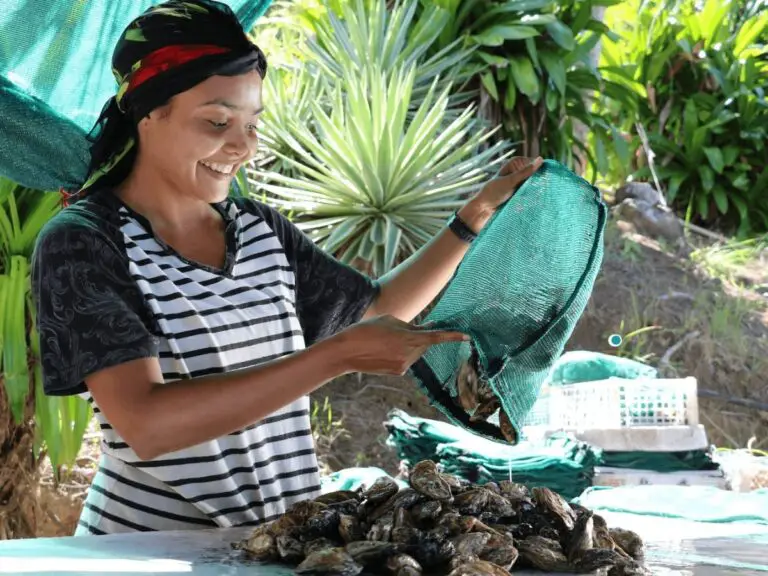 Oyster Farming: Socioeconomic Alternative for Communities on the Costa Rican Pacific Coast