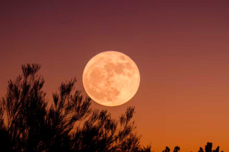 The Fourth and Final Supermoon of 2024 is Upon Us