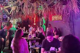 Experience the Vibrant Night Life of San José