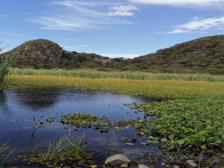 After 4 Months of Preventive Closure: Palo Verde National Park Reopens to the Public in Costa Rica