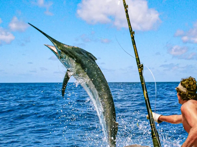 Costa Rica: One of the Top Deep Sea Fishing Destinations in the World